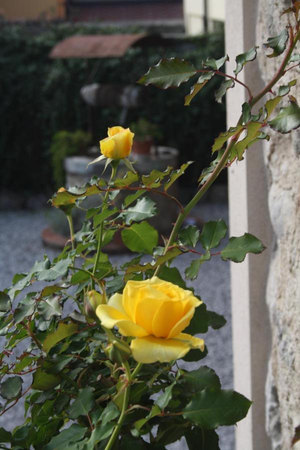 Cascina San Martino Bed and Breakfast Passirano Exteriör bild