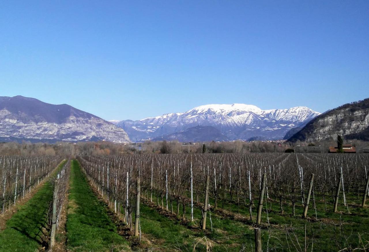Cascina San Martino Bed and Breakfast Passirano Exteriör bild